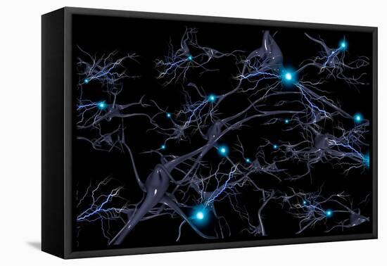Brain cells with electrical firing of neurons.-Bruce Rolff-Framed Stretched Canvas