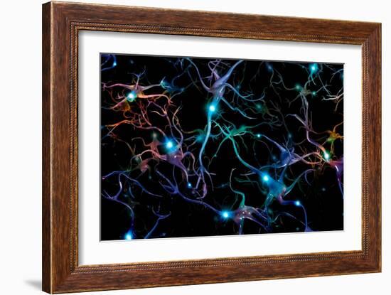 Brain cells with glowing nodes of colorful neurons.-Bruce Rolff-Framed Art Print
