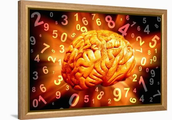 Brain, Conceptual Artwork-Victor De Schwanberg-Framed Premier Image Canvas