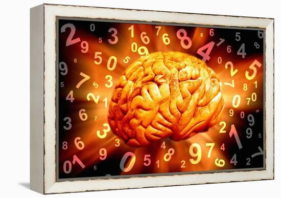 Brain, Conceptual Artwork-Victor De Schwanberg-Framed Premier Image Canvas