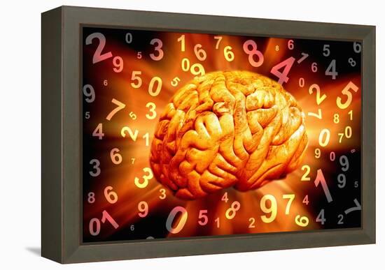 Brain, Conceptual Artwork-Victor De Schwanberg-Framed Premier Image Canvas