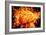 Brain, Conceptual Artwork-Victor De Schwanberg-Framed Photographic Print