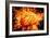 Brain, Conceptual Artwork-Victor De Schwanberg-Framed Photographic Print