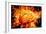 Brain, Conceptual Artwork-Victor De Schwanberg-Framed Photographic Print