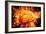 Brain, Conceptual Artwork-Victor De Schwanberg-Framed Photographic Print