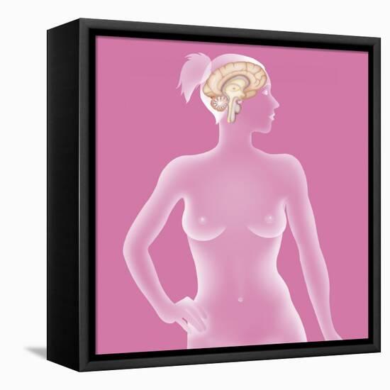 Brain, Drawing-Caroline Arquevaux-Framed Premier Image Canvas