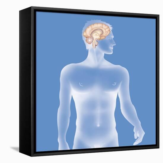 Brain, Drawing-Caroline Arquevaux-Framed Premier Image Canvas