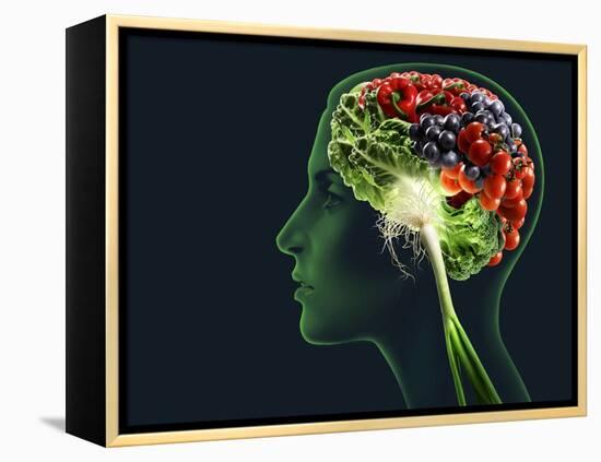 Brain Food, Conceptual Image-SMETEK-Framed Premier Image Canvas