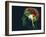 Brain Food, Conceptual Image-SMETEK-Framed Photographic Print