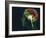 Brain Food, Conceptual Image-SMETEK-Framed Photographic Print