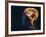 Brain Food, Conceptual Image-SMETEK-Framed Photographic Print