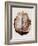 Brain Meninges-Mehau Kulyk-Framed Photographic Print