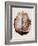 Brain Meninges-Mehau Kulyk-Framed Photographic Print