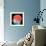 Brain, MRI Scan-Mehau Kulyk-Framed Premium Photographic Print displayed on a wall