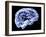 Brain, Neural Network-PASIEKA-Framed Photographic Print