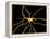 Brain Neuron-Thomas Deerinck-Framed Premier Image Canvas