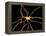 Brain Neuron-Thomas Deerinck-Framed Premier Image Canvas