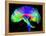 Brain Pathways-Tom-Framed Premier Image Canvas