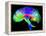 Brain Pathways-Tom-Framed Premier Image Canvas