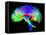 Brain Pathways-Tom-Framed Premier Image Canvas