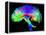 Brain Pathways-Tom-Framed Premier Image Canvas