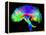 Brain Pathways-Tom-Framed Premier Image Canvas