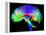 Brain Pathways-Tom-Framed Premier Image Canvas