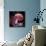 Brain Research, Conceptual Artwork-Laguna Design-Photographic Print displayed on a wall