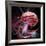 Brain Research, Conceptual Artwork-Laguna Design-Framed Photographic Print