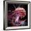 Brain Research, Conceptual Artwork-Laguna Design-Framed Photographic Print