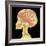 Brain Superimposed on Colour X-ray of Human Skull-Mehau Kulyk-Framed Premium Photographic Print