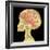 Brain Superimposed on Colour X-ray of Human Skull-Mehau Kulyk-Framed Premium Photographic Print