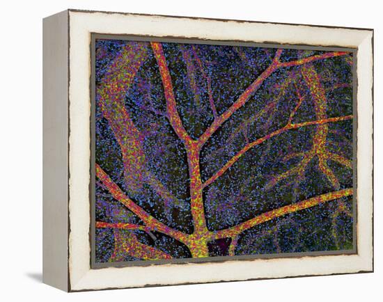 Brain Tissue Blood Supply-Thomas Deerinck-Framed Premier Image Canvas