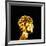 Brain-Mehau Kulyk-Framed Photographic Print