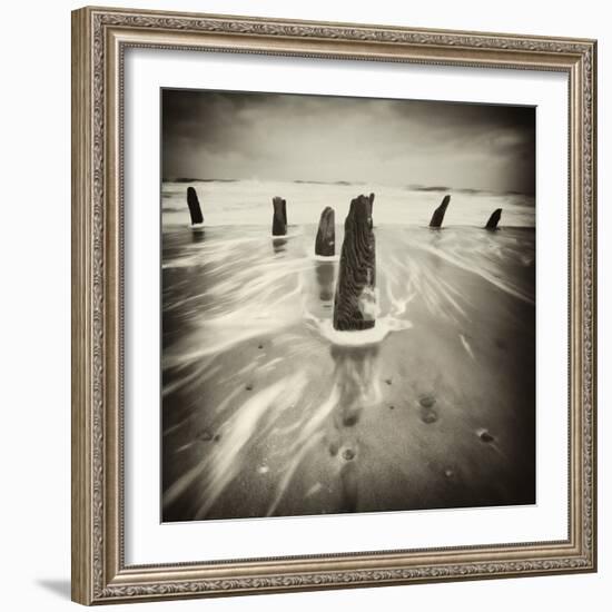 Brainclub-David Baker-Framed Photographic Print