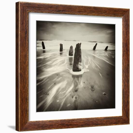 Brainclub-David Baker-Framed Photographic Print