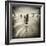 Brainclub-David Baker-Framed Photographic Print