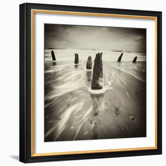 Brainclub-David Baker-Framed Photographic Print