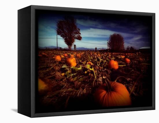 Brainfly-Sharon Wish-Framed Premier Image Canvas