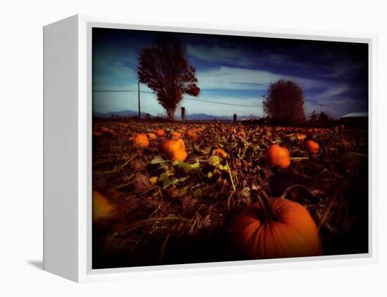 Brainfly-Sharon Wish-Framed Premier Image Canvas