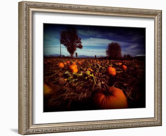 Brainfly-Sharon Wish-Framed Photographic Print