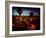 Brainfly-Sharon Wish-Framed Photographic Print