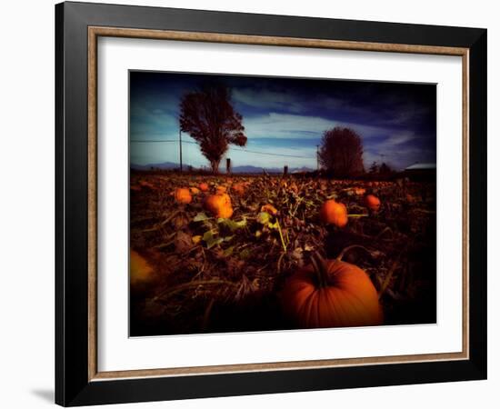 Brainfly-Sharon Wish-Framed Photographic Print