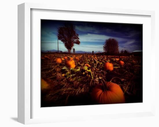 Brainfly-Sharon Wish-Framed Photographic Print