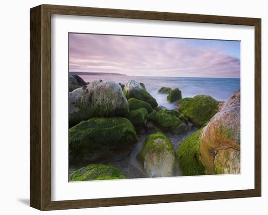 Brainpath-David Baker-Framed Photographic Print