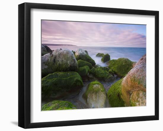 Brainpath-David Baker-Framed Photographic Print