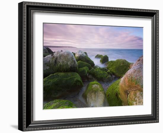 Brainpath-David Baker-Framed Photographic Print