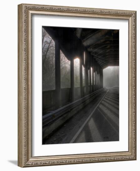 Brainpath-Jim Crotty-Framed Photographic Print