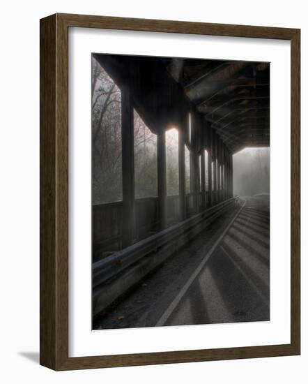 Brainpath-Jim Crotty-Framed Photographic Print