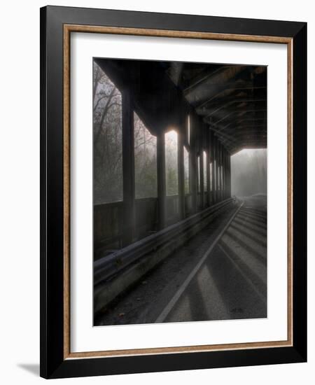 Brainpath-Jim Crotty-Framed Photographic Print